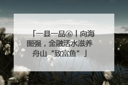 一县一品⑥丨向海图强，金融活水滋养舟山“致富鱼”