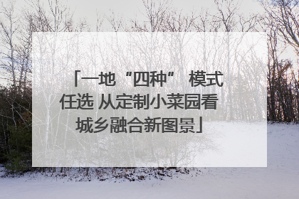 一地“四种” 模式任选 从定制小菜园看城乡融合新图景