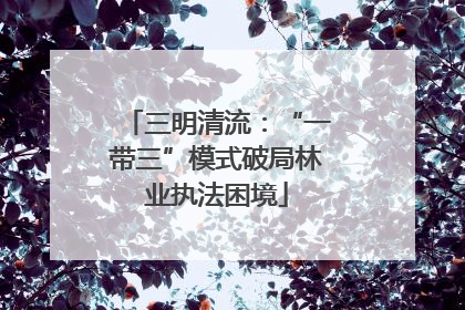 三明清流：“一带三”模式破局林业执法困境