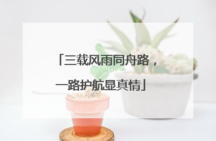 三载风雨同舟路，一路护航显真情