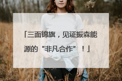 三面锦旗,见证振森能源的“非凡合作”!