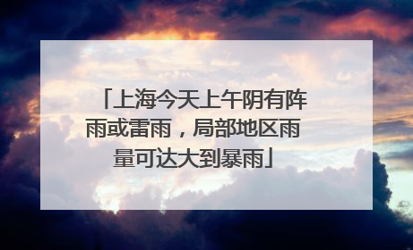 上海今天上午阴有阵雨或雷雨，局部地区雨量可达大到暴雨
