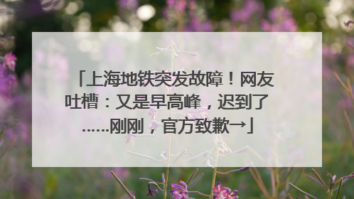 上海地铁突发故障！网友吐槽：又是早高峰，迟到了……刚刚，官方致歉→
