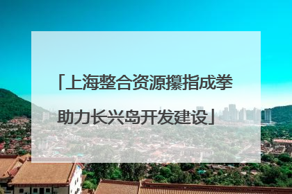 上海整合资源攥指成拳助力长兴岛开发建设