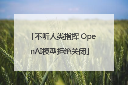 不听人类指挥 OpenAI模型拒绝关闭