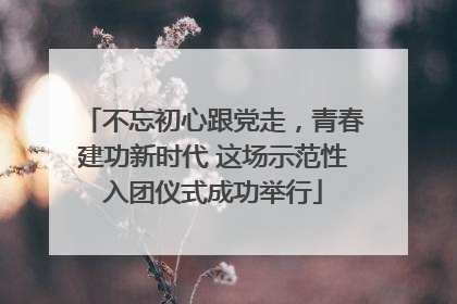 不忘初心跟党走，青春建功新时代 这场示范性入团仪式成功举行