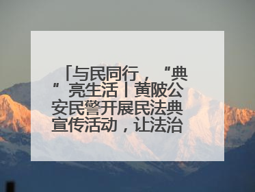 与民同行，“典”亮生活丨黄陂公安民警开展民法典宣传活动，让法治精神在群众心中落地生根