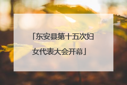 东安县第十五次妇女代表大会开幕