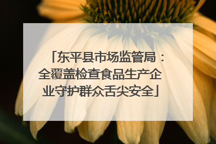 东平县市场监管局：全覆盖检查食品生产企业守护群众舌尖安全