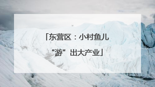 东营区：小村鱼儿“游”出大产业