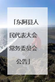 东阿县人民代表大会常务委员会公告