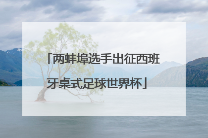 两蚌埠选手出征西班牙桌式足球世界杯