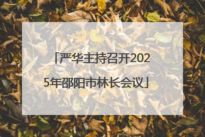 严华主持召开2025年邵阳市林长会议