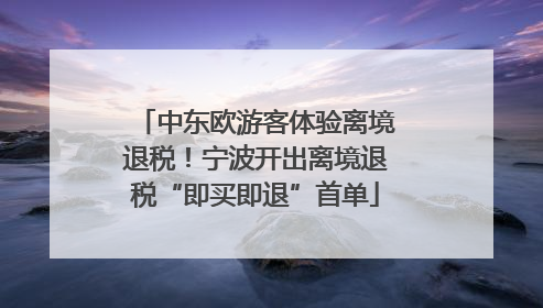 中东欧游客体验离境退税！宁波开出离境退税“即买即退”首单