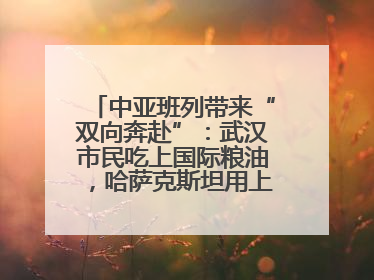 中亚班列带来“双向奔赴”：武汉市民吃上国际粮油，哈萨克斯坦用上鄂产光电屏