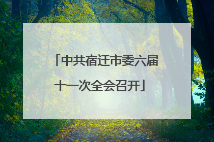 中共宿迁市委六届十一次全会召开