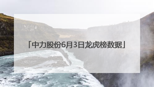 中力股份6月3日龙虎榜数据
