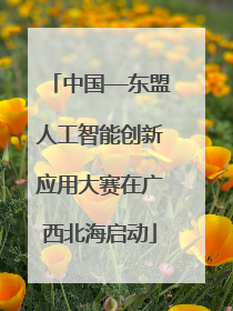 中国—东盟人工智能创新应用大赛在广西北海启动