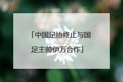 中国足协终止与国足主帅伊万合作