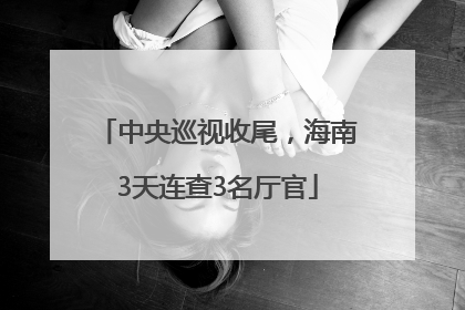 中央巡视收尾，海南3天连查3名厅官