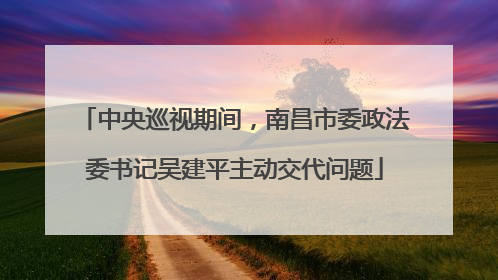 中央巡视期间，南昌市委政法委书记吴建平主动交代问题