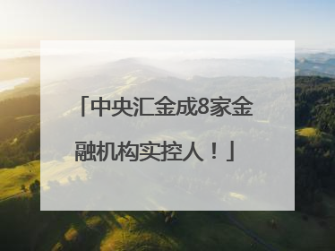 中央汇金成8家金融机构实控人！
