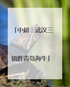 中超：武汉三镇胜青岛海牛