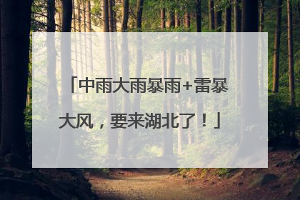 中雨大雨暴雨+雷暴大风，要来湖北了！