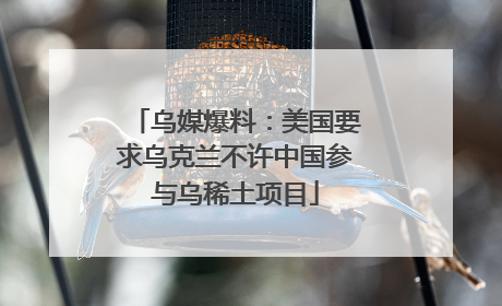 乌媒爆料：美国要求乌克兰不许中国参与乌稀土项目