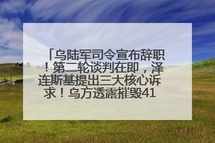 乌陆军司令宣布辞职！第二轮谈判在即，泽连斯基提出三大核心诉求！乌方透露摧毁41架俄战略轰炸机
