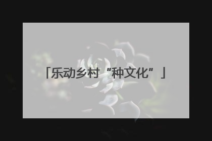 乐动乡村“种文化”