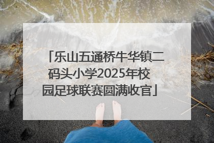 乐山五通桥牛华镇二码头小学2025年校园足球联赛圆满收官
