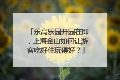 乐高乐园开园在即，上海金山如何让游客吃好住玩得好？