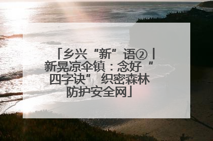 乡兴“新”语②丨新晃凉伞镇：念好“四字诀” 织密森林防护安全网