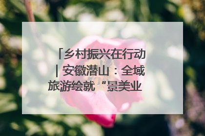乡村振兴在行动｜安徽潜山：全域旅游绘就“景美业兴民富”新画卷