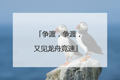 争渡，争渡，又见龙舟竞速