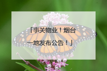 事关物业！烟台一地发布公告！