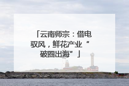 云南师宗：借电驭风，鲜花产业“破圈出海”