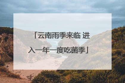 云南雨季来临 进入一年一度吃菌季