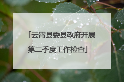 云霄县委县政府开展第二季度工作检查