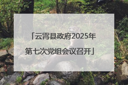 云霄县政府2025年第七次党组会议召开