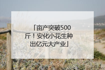 亩产突破500斤！安化小花生种出亿元大产业
