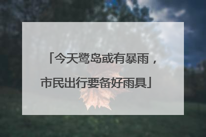 今天鹭岛或有暴雨，市民出行要备好雨具