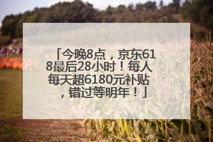 今晚8点，京东618最后28小时！每人每天超6180元补贴，错过等明年！