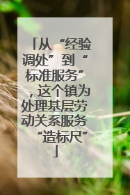 从“经验调处”到“标准服务”，这个镇为处理基层劳动关系服务“造标尺”