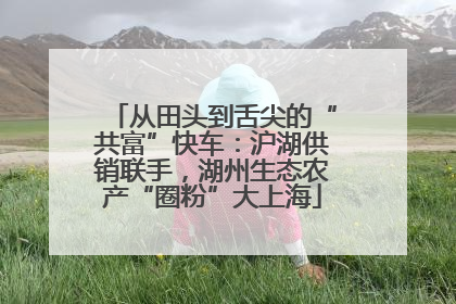 从田头到舌尖的“共富”快车：沪湖供销联手，湖州生态农产“圈粉”大上海