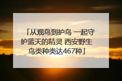 从观鸟到护鸟 一起守护蓝天的精灵 西安野生鸟类种类达467种