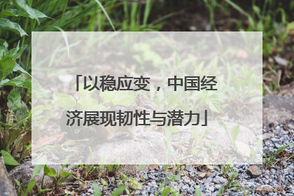 以稳应变，中国经济展现韧性与潜力