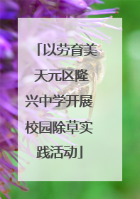 以劳育美 天元区隆兴中学开展校园除草实践活动