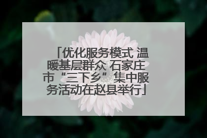 优化服务模式 温暖基层群众 石家庄市“三下乡”集中服务活动在赵县举行